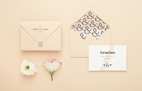 網(wǎng)頁設(shè)計之Vega & Vega