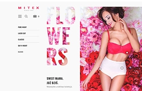 網(wǎng)站設(shè)計之內(nèi)衣類頁面設(shè)計