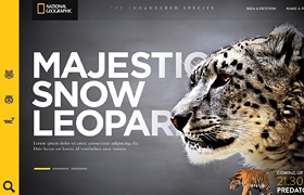 網(wǎng)站設(shè)計(jì)之美國(guó)國(guó)家地理雜志-瀕危物種（概念）
